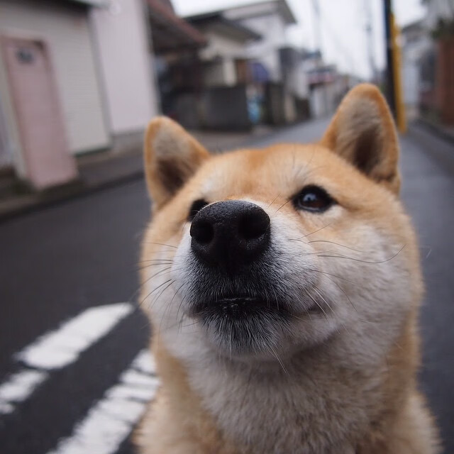 中后场长传质量是否成为球队反击效率关键指标,后场长传算越位吗
