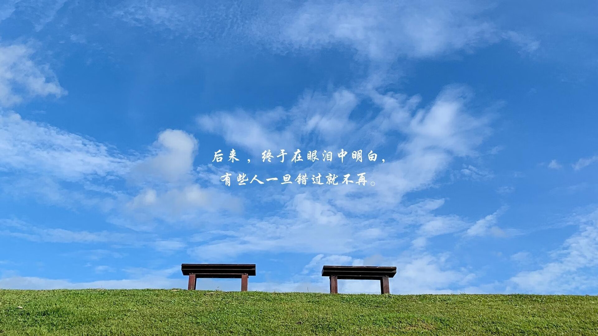 “萨尔·巴赫：南非队的进攻核心，世界杯之旅的关键人物”