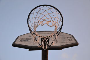 KAIYUNAPP-NBA联盟与高校篮球合作开发机制研究，大学篮球联盟叫什么