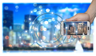 开云网址-智能体育设备维护技术与管理，智能体育设备维护技术与管理专业