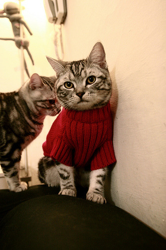 奥预赛国家队逆袭 球员表现获得教练点赞，奥预赛积分榜