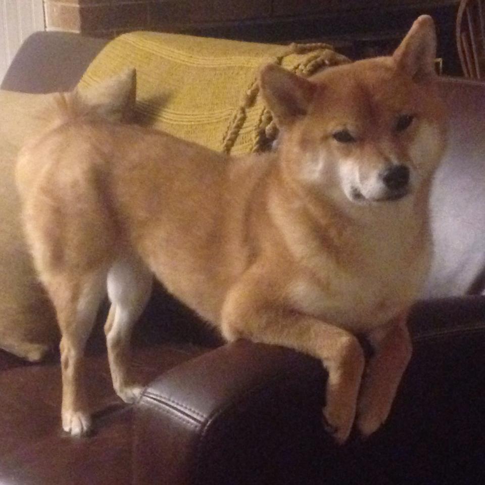 进攻节奏与得分效率是否存在拐点关系，进攻效率是什么意思